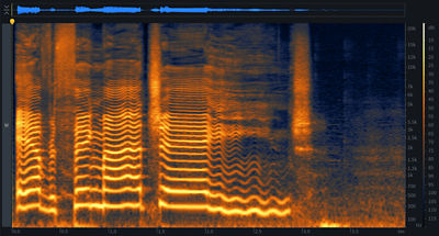 Understanding Spectrograms